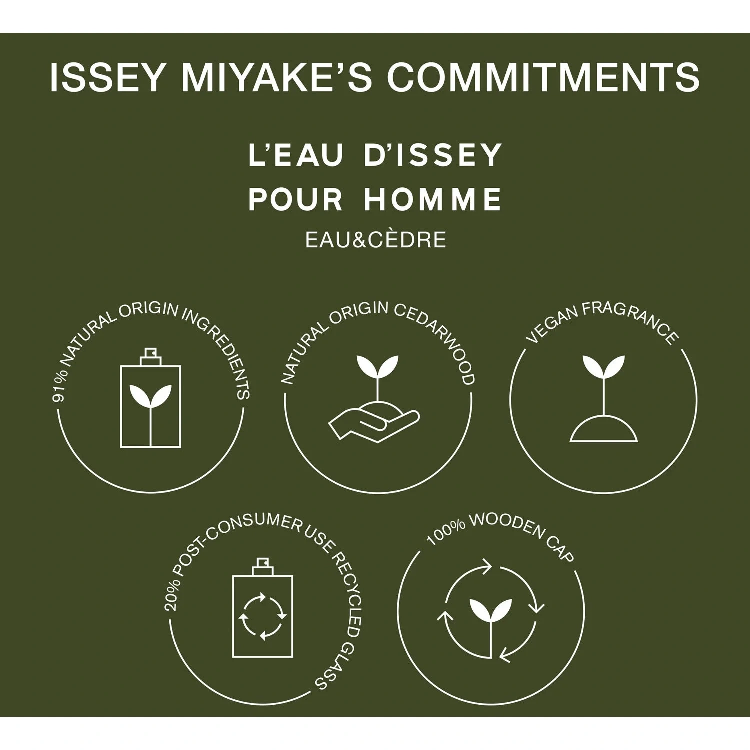 Issey Miyake Cedar EdT 50 ml