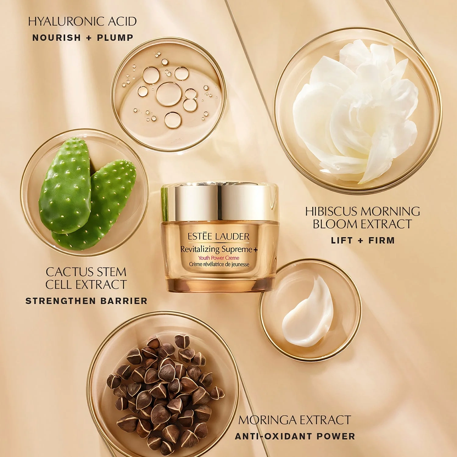 Estée Lauder Revitalizing Supreme+ Youth Power Creme