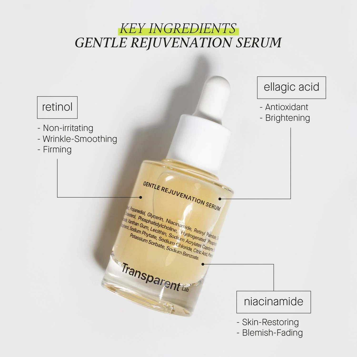 Niche Beauty Lab Transparent Lab