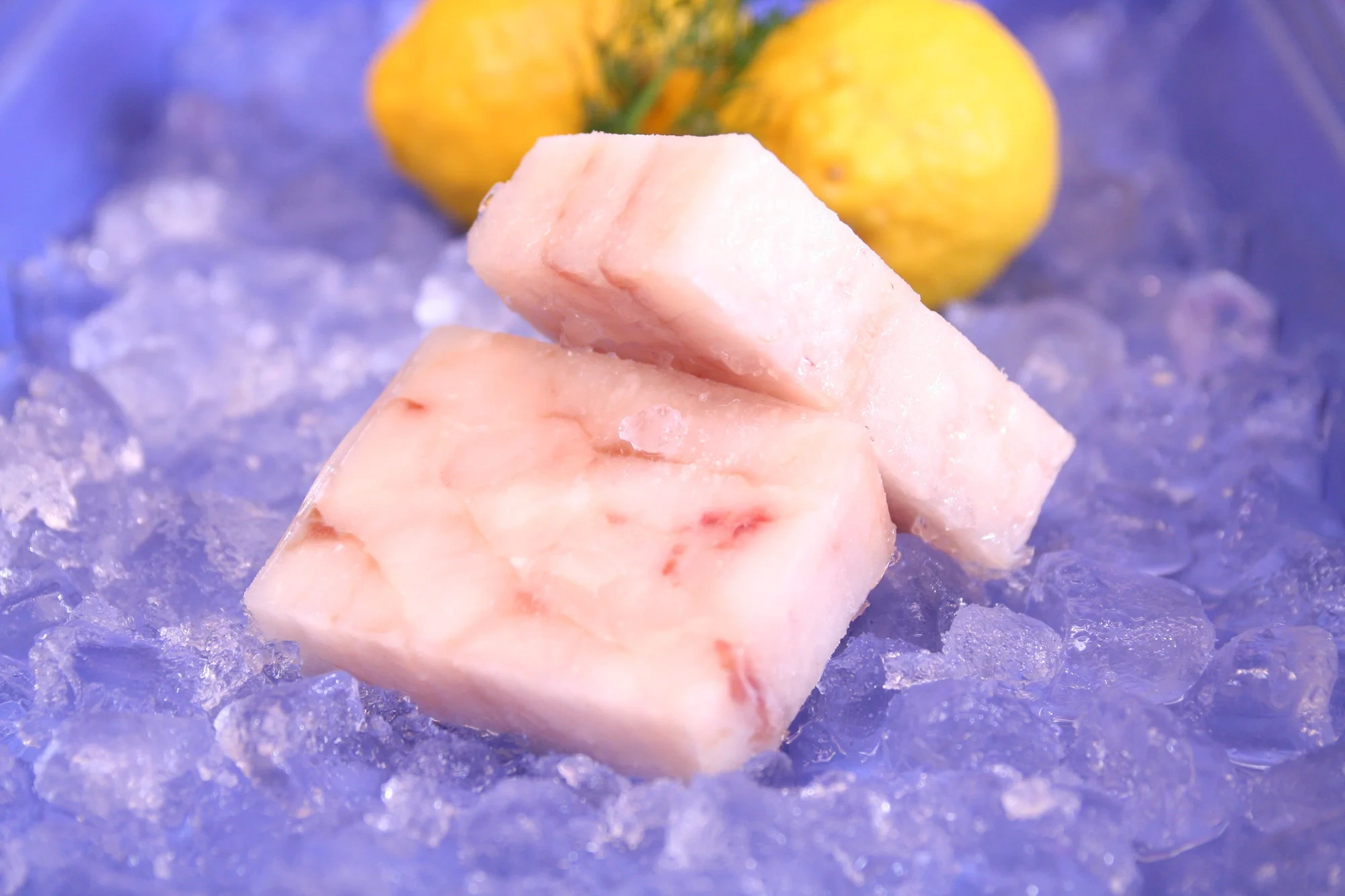 Alaska pollock filé MSC port block