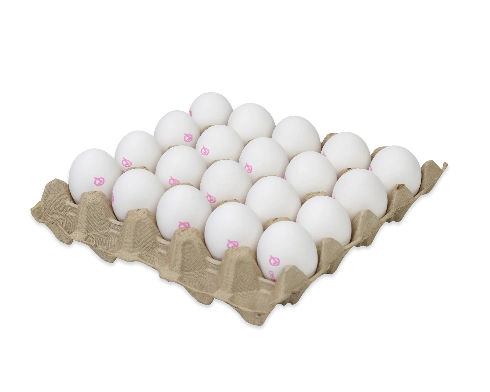 Ägg frigående ute M/L lösvikt