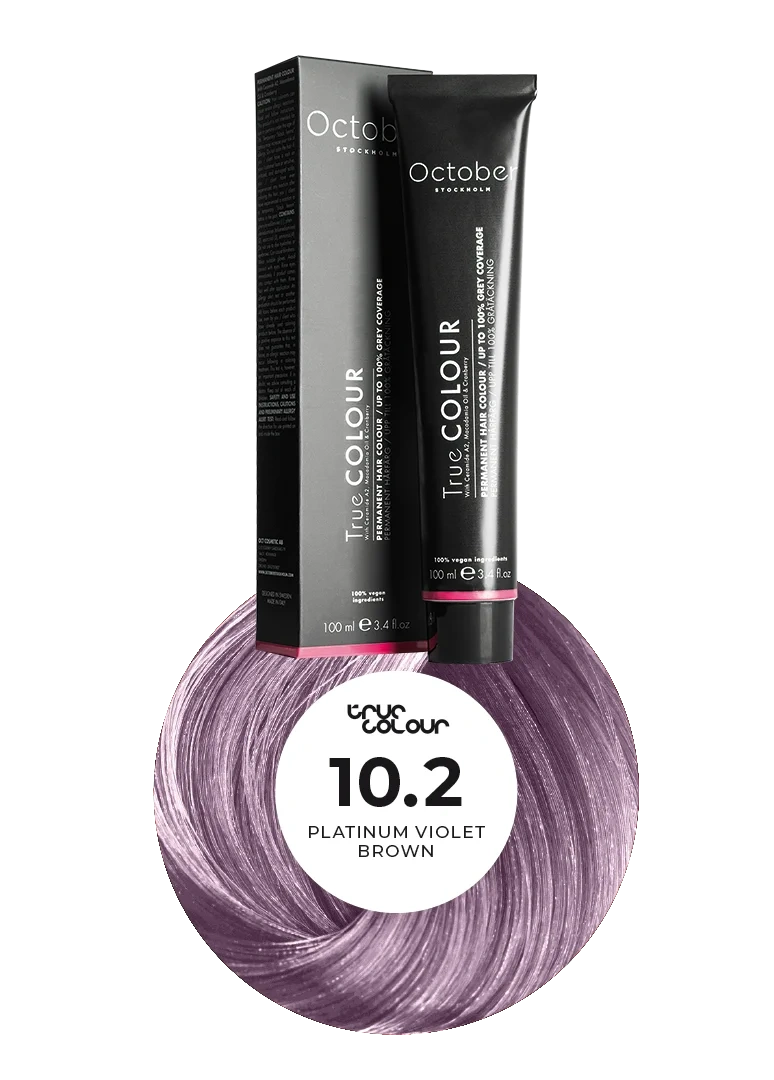 10.2 Platinum Violet Blond