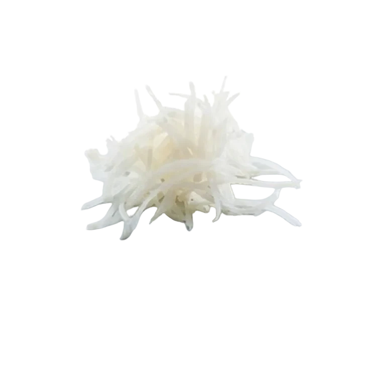 Rettich julienne   500g