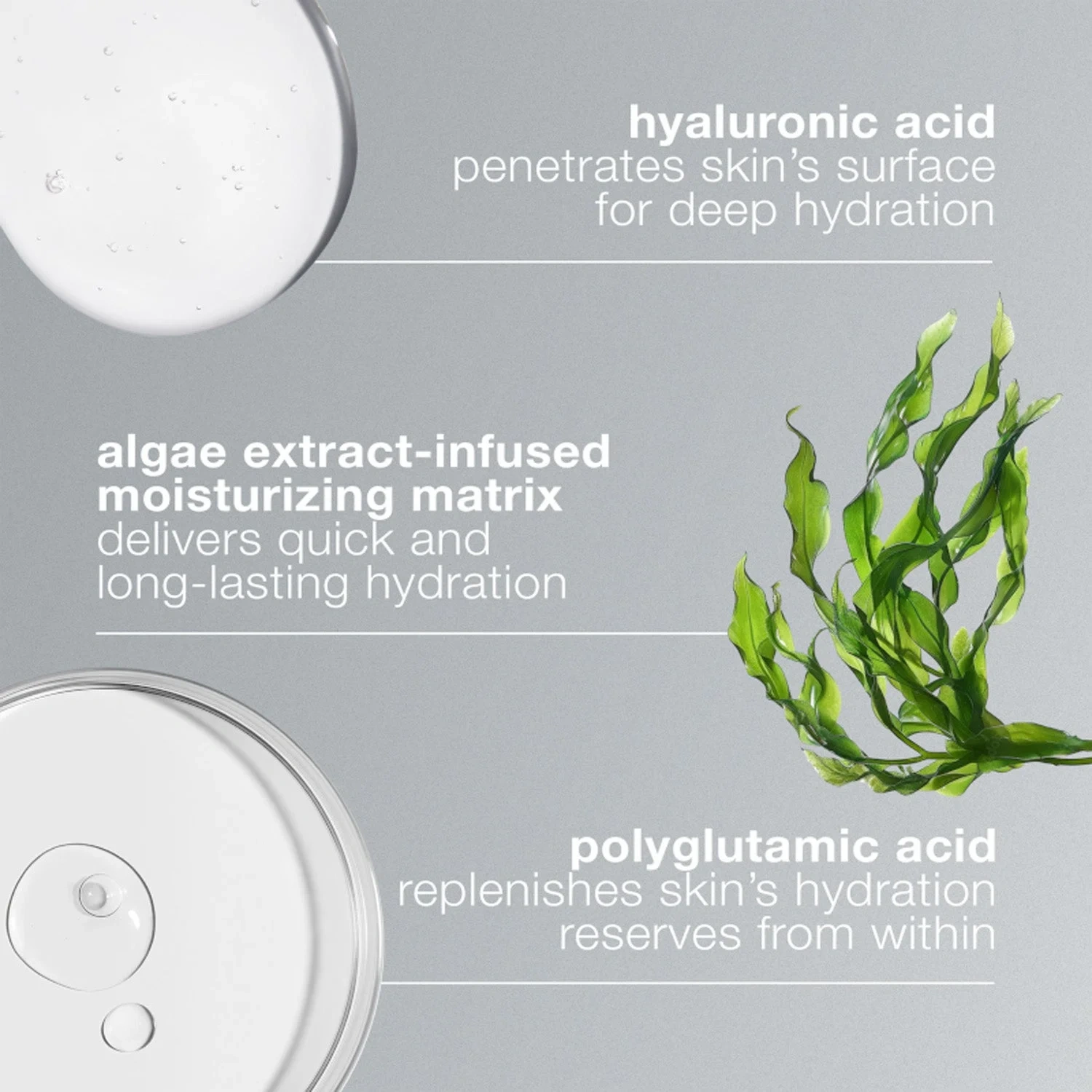 Dermalogica Circular Hydration Serum