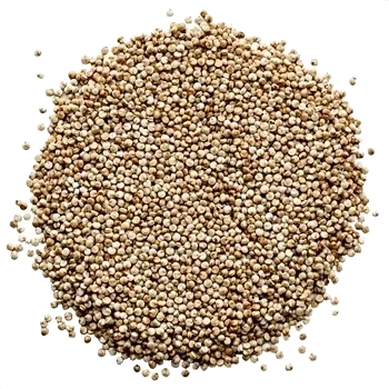 Quinoa Titicaca KRAV