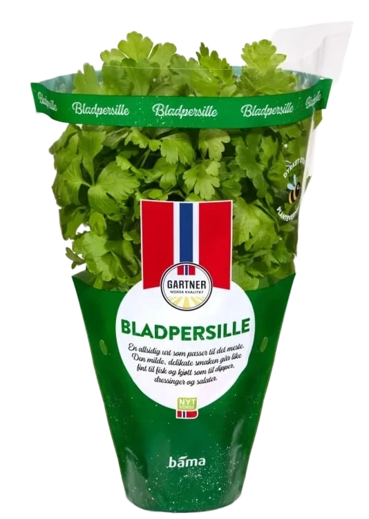 Bladpersille 9cm Potte