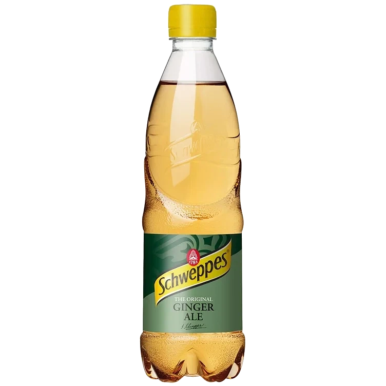 Schweppes ginger ale   24x50cl