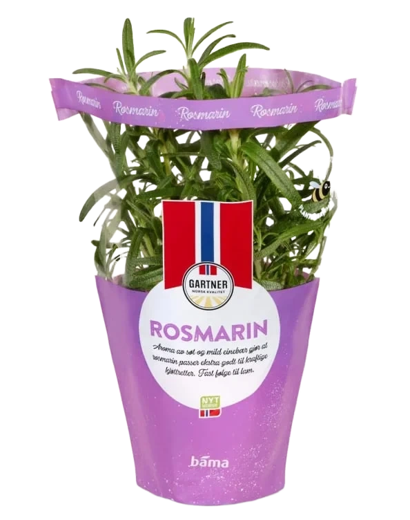 Rosmarin 9cm Potte Gartner