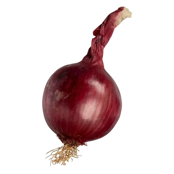 Rødløk Økologisk 2kg