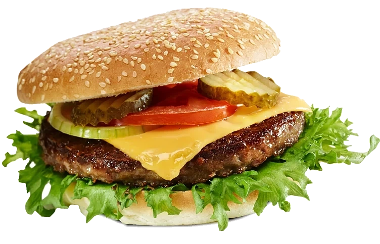 Hamburger spesial rå  250g 18stk   4,5kg