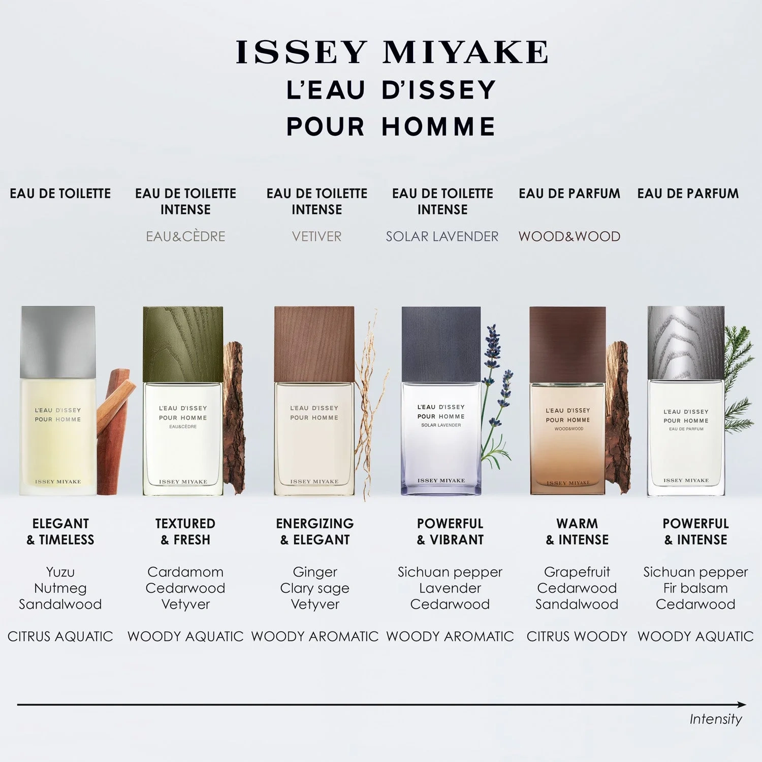 Issey Miyake L'Eau D'issey Pour Homme