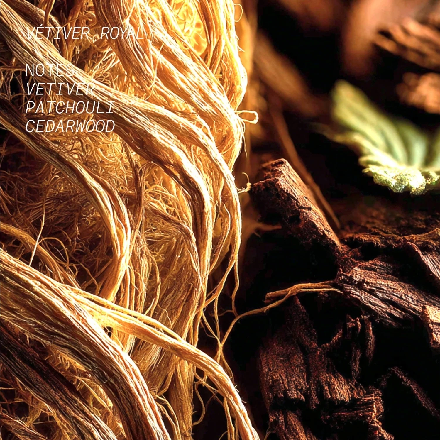 Látelier Parfum VETIVER ROYAL
