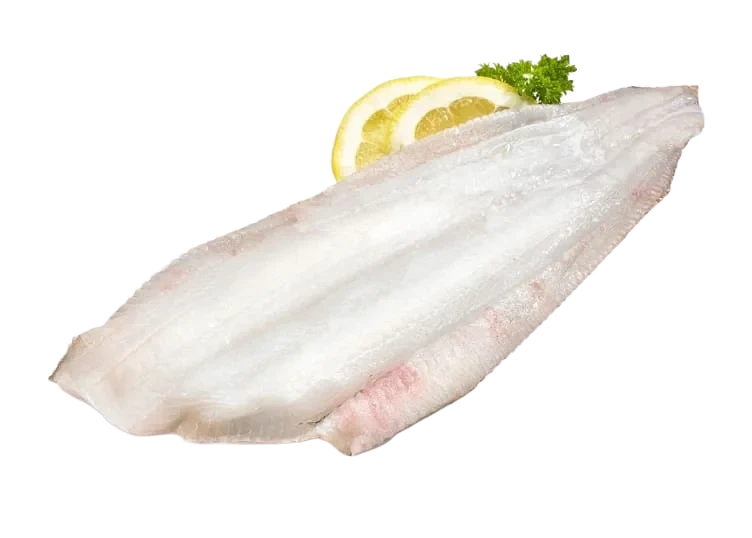 Smørflyndre Filet Vill pr Kg
