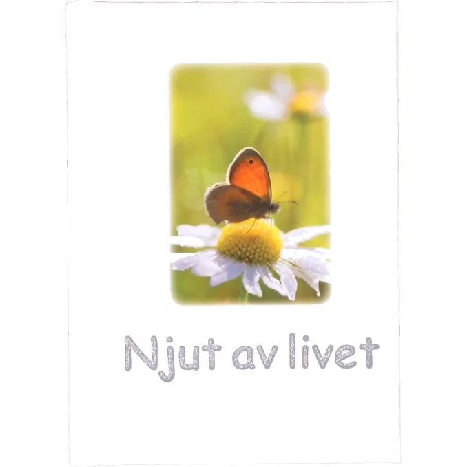Bok: Njut Av Livet