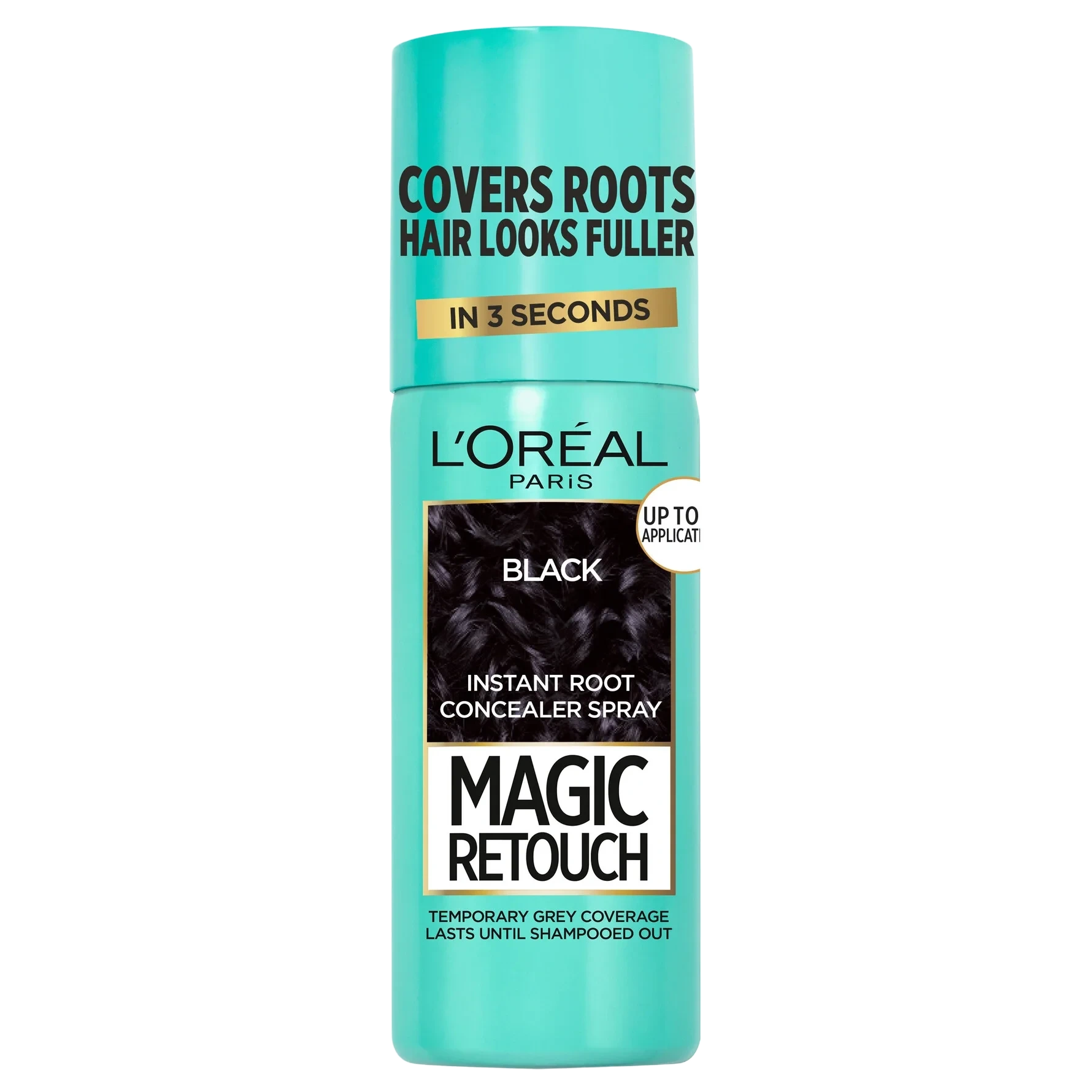 L'Oréal Paris Magic Retouch Direct Color Black
