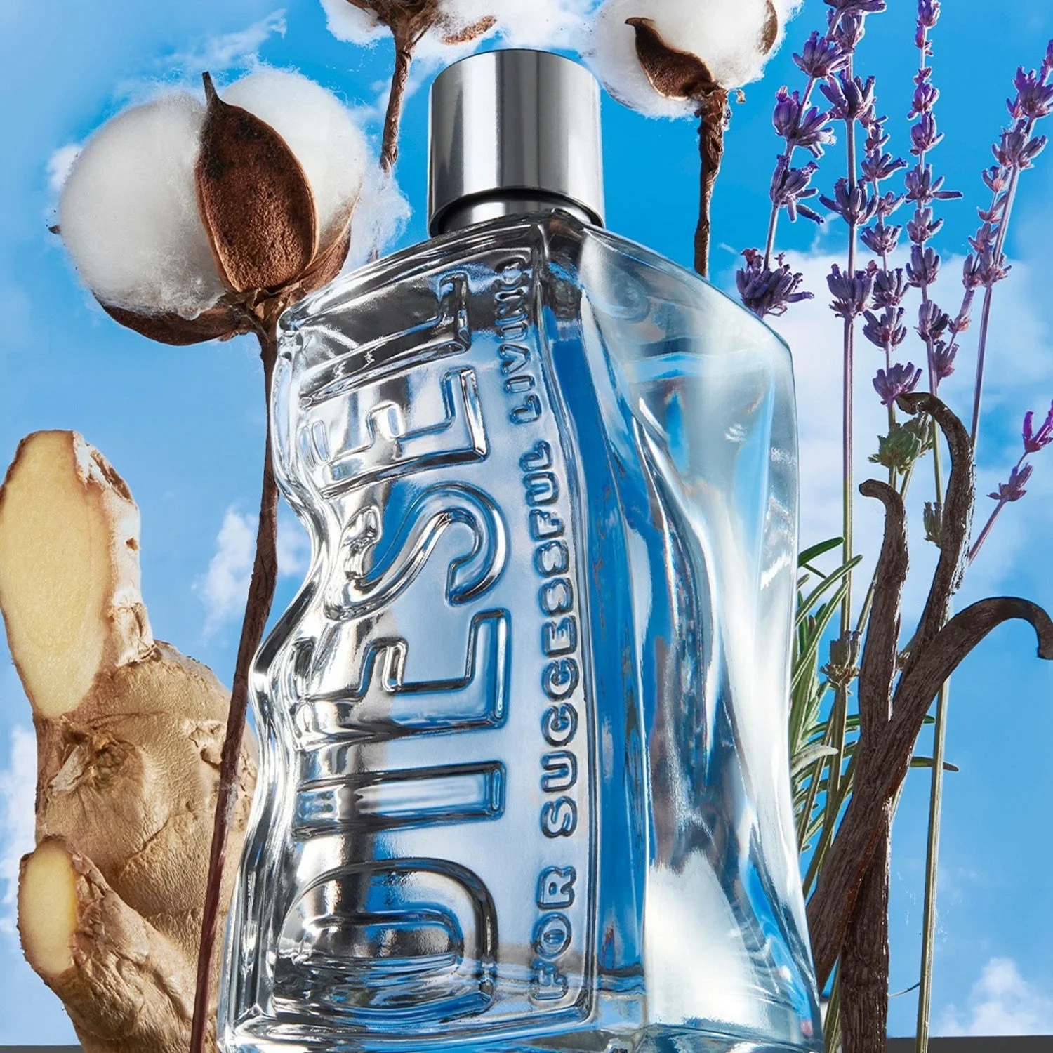 D By Diesel Eau de Toilette 50 ml