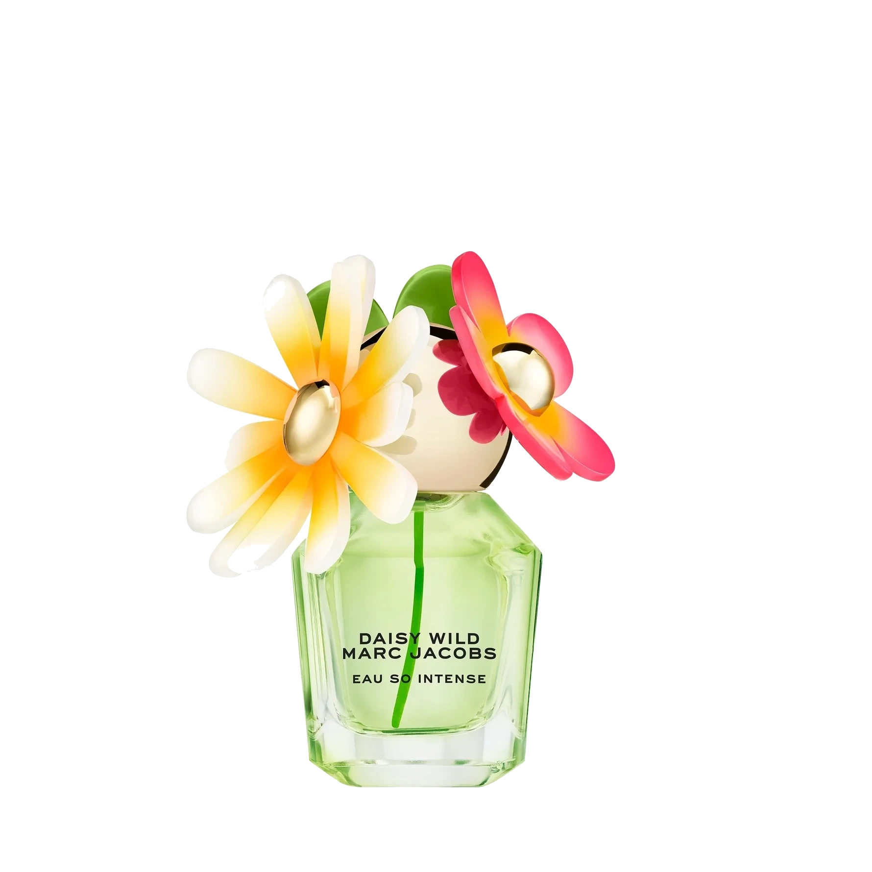 Marc Jacobs Daisy Wild Intense