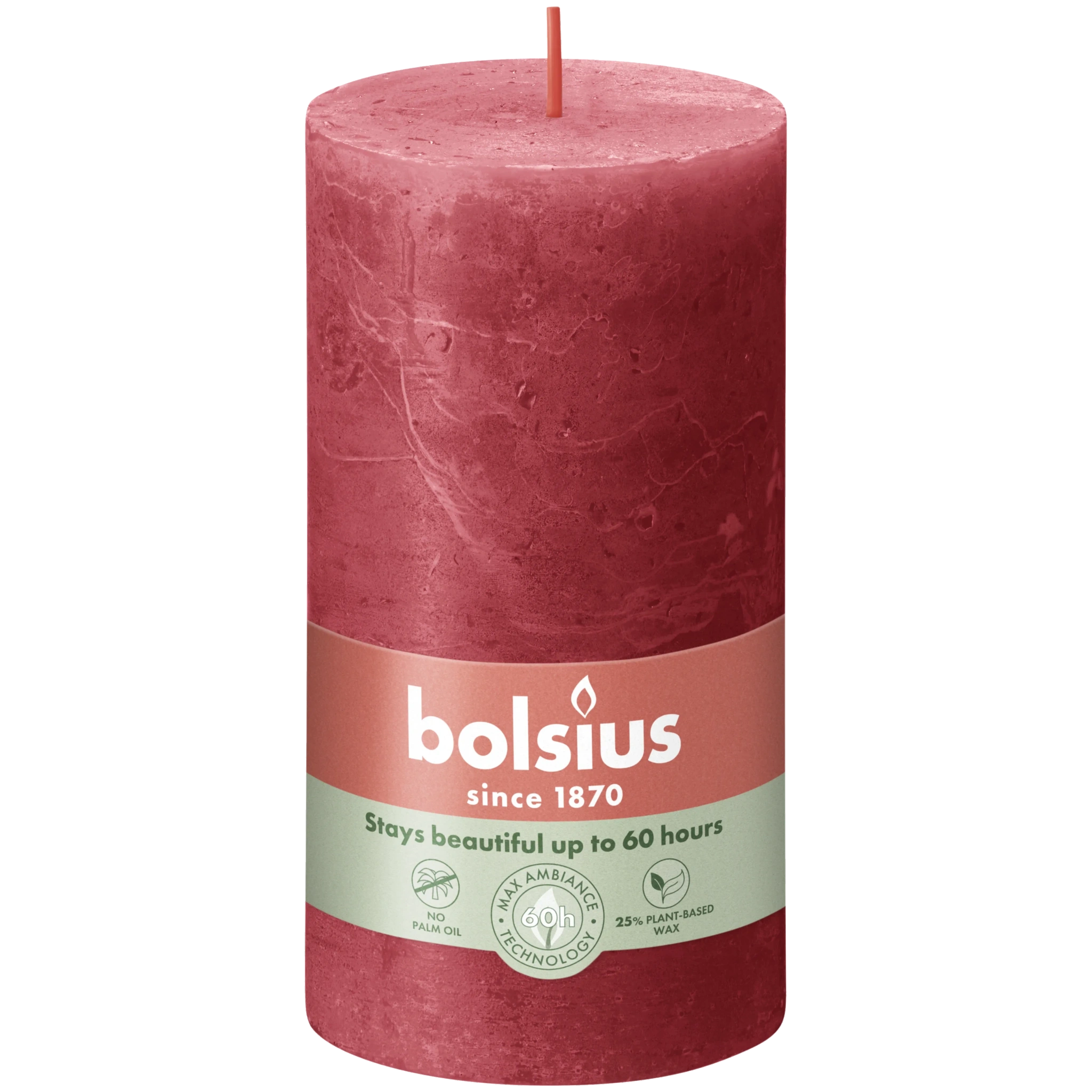 Rustikljus