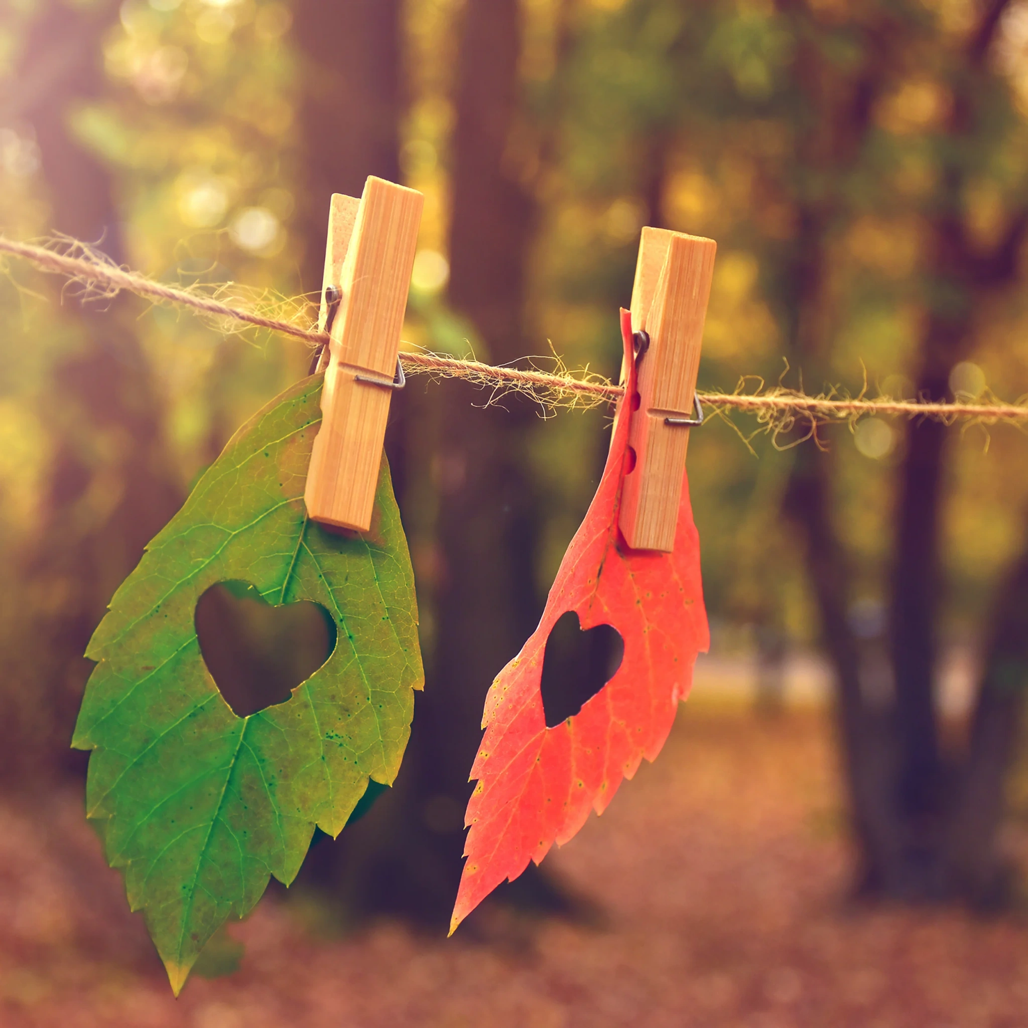 issueservett Love