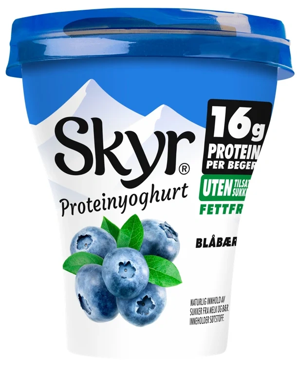 Skyr blåbær/vanilje beg 160g