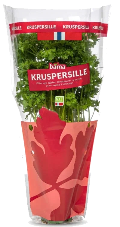 Kruspersille Stor Potte Bama