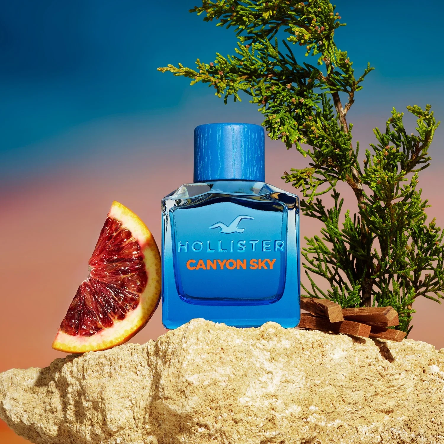 Hollister Canyon Sky For Him