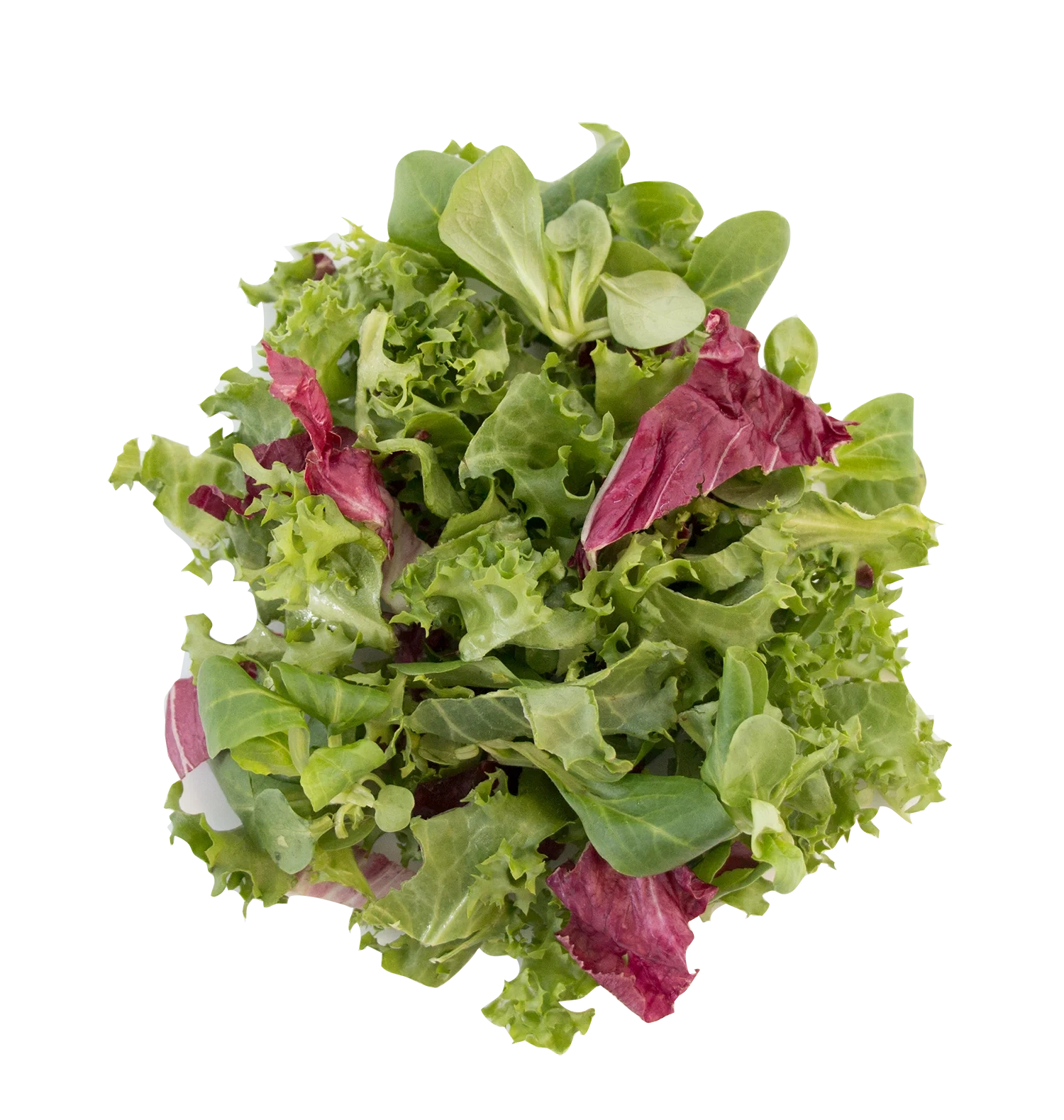 Provencesallad skuren 20mm