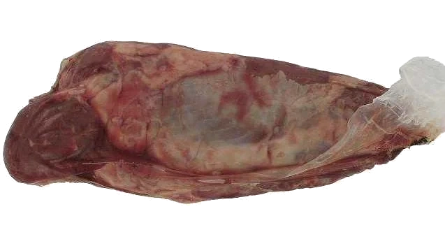 Chuck Tender nötbog