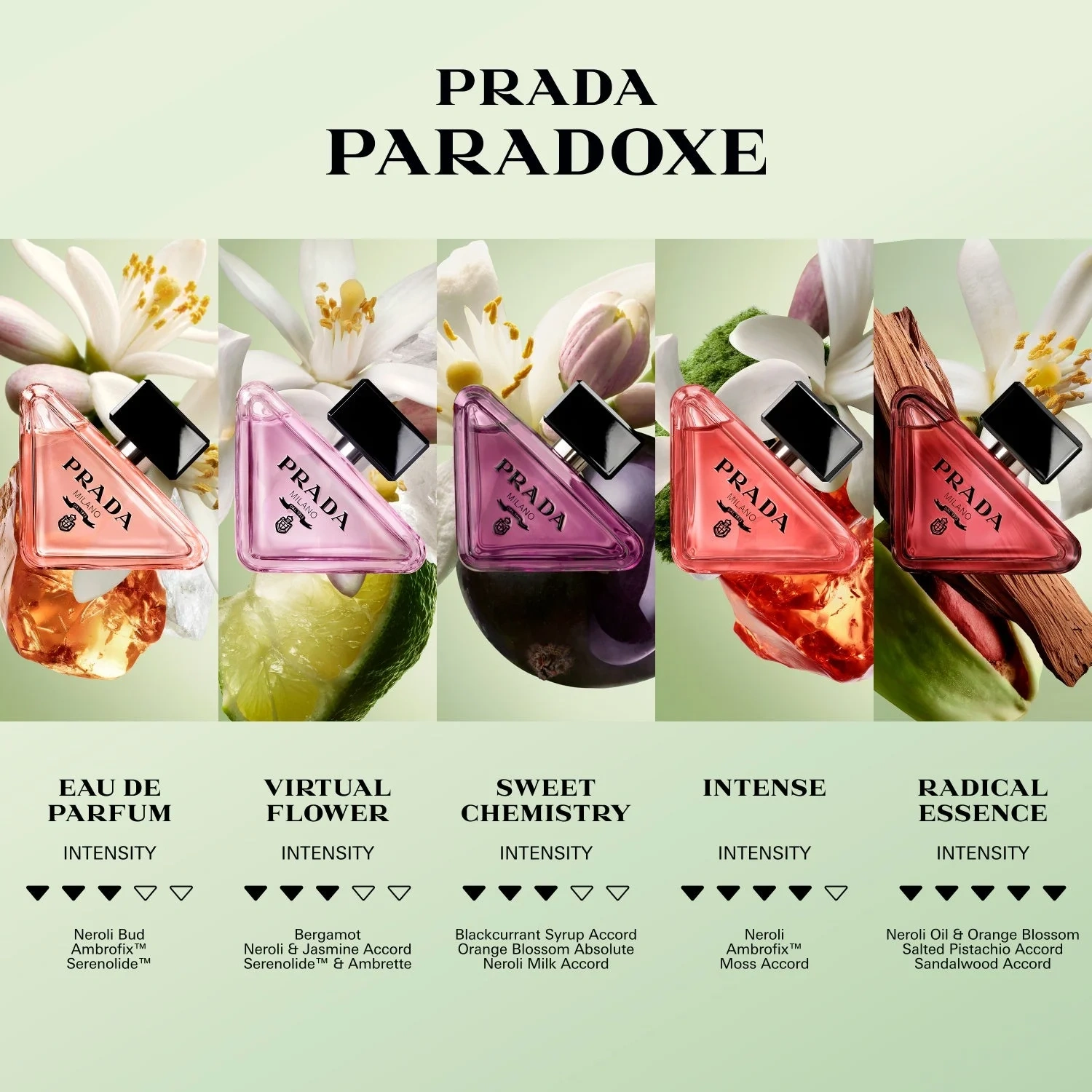 Prada Paradoxe Intense