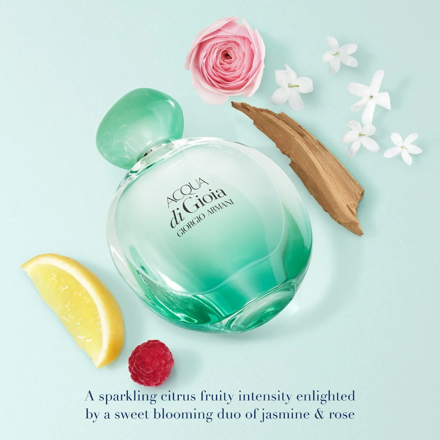 Armani Acqua Di Gio Absolu Intense