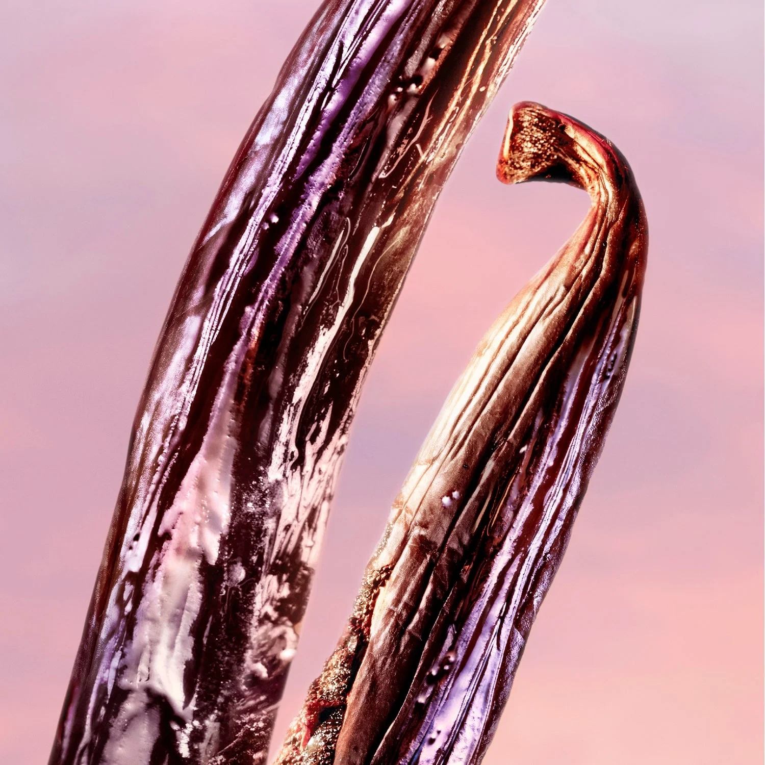 Lancôme La vie est belle Vanille Nude