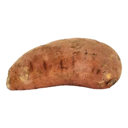 Sötpotatis Klass 1
