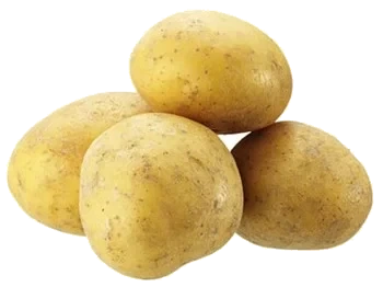 Kulpotatis tvättad