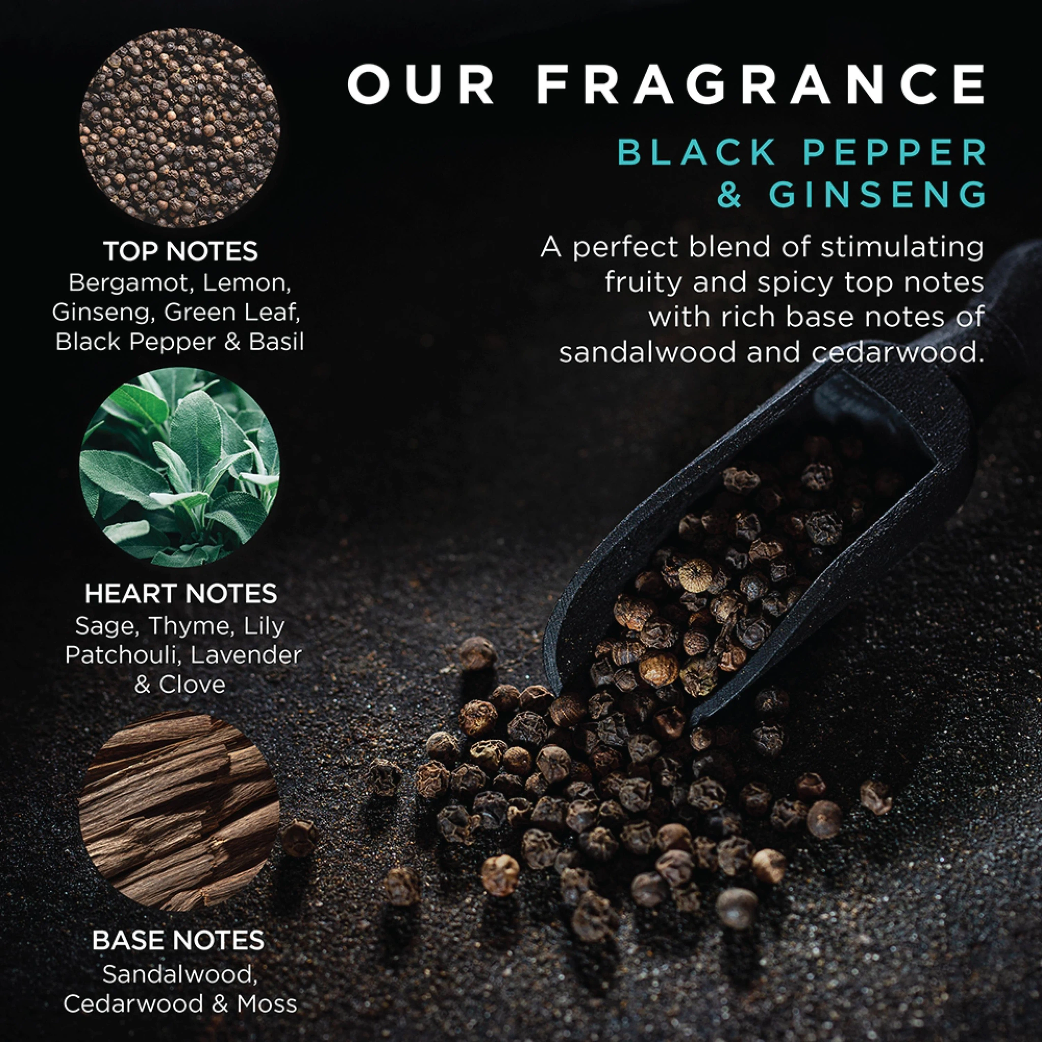 Baylis & Harding Black Pepper & Ginseng Men's Luxury Mini Trio Gift Set, 1 sett