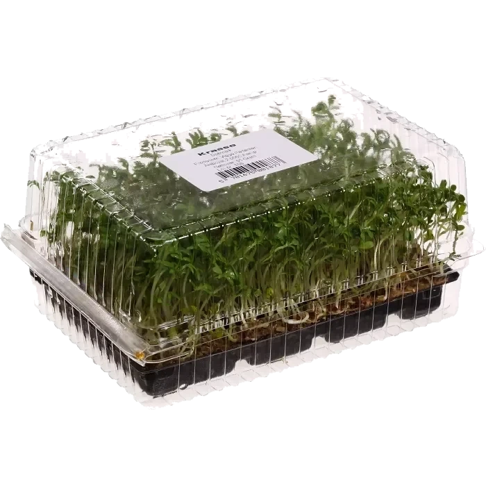 Krasse 100g Klass 1 ICA
