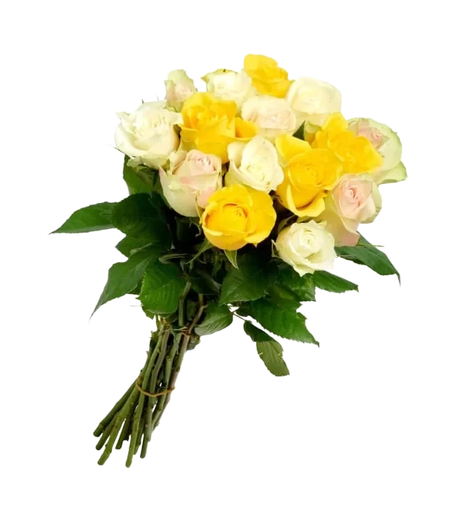 Roser Mix 15pk 45cm