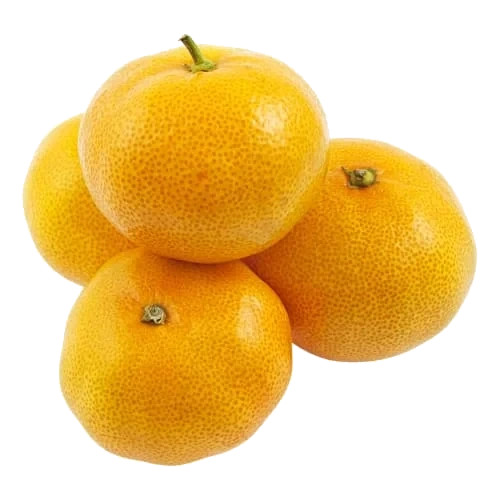 Clementin Klass 1