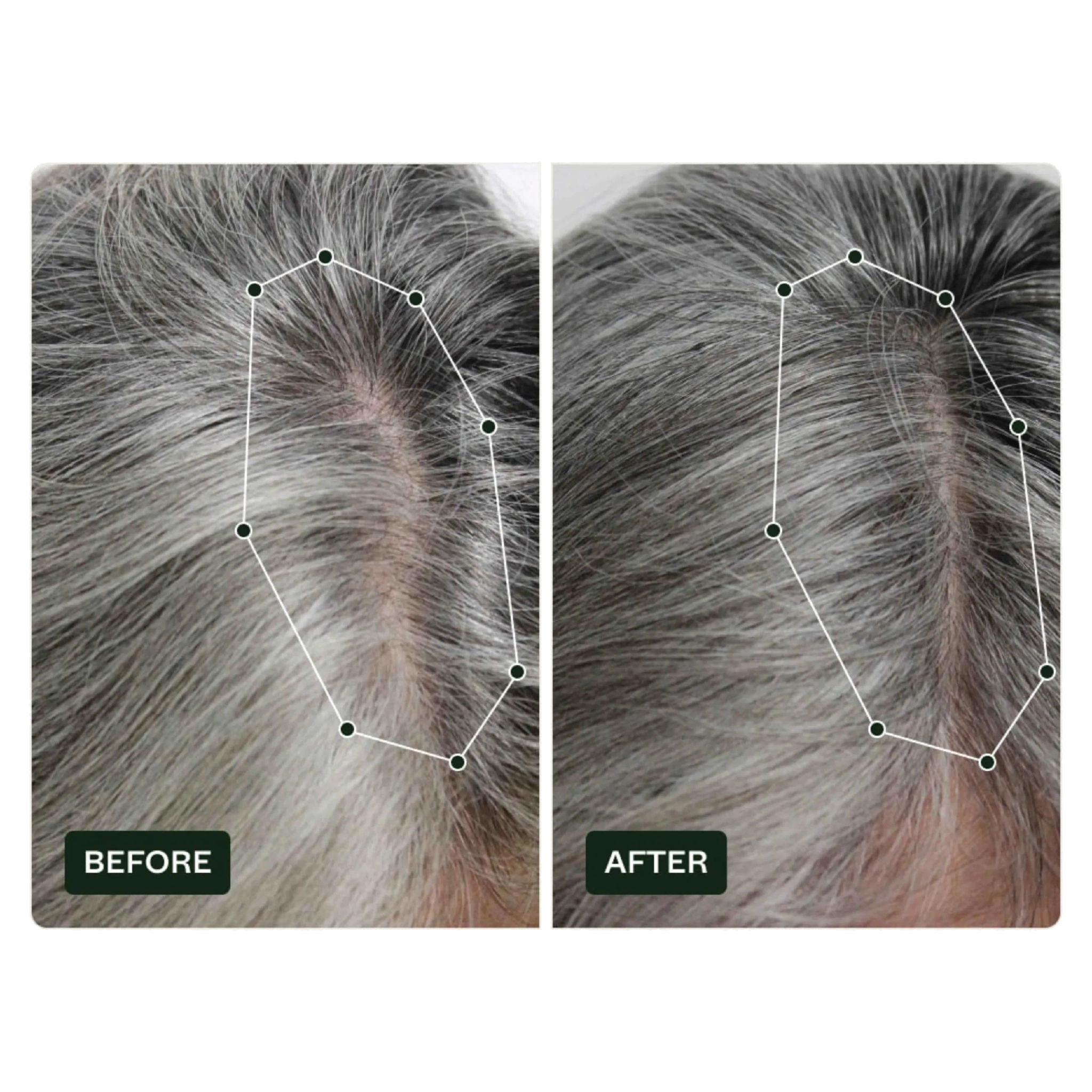 Scandinavian Biolabs Hair Routine Women, 1 sett