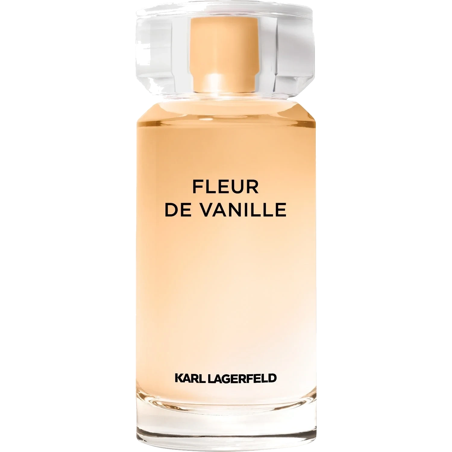 Karl Lagerfeld Les Parfums Matières Fleur de Vanille Eau de Parfum 100 ml