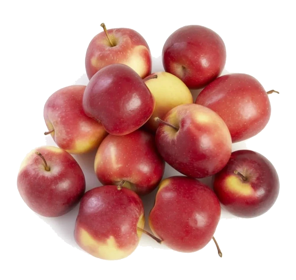 Epler i Pose Vår Laveste pris Polen/ Nederland, 2 kg