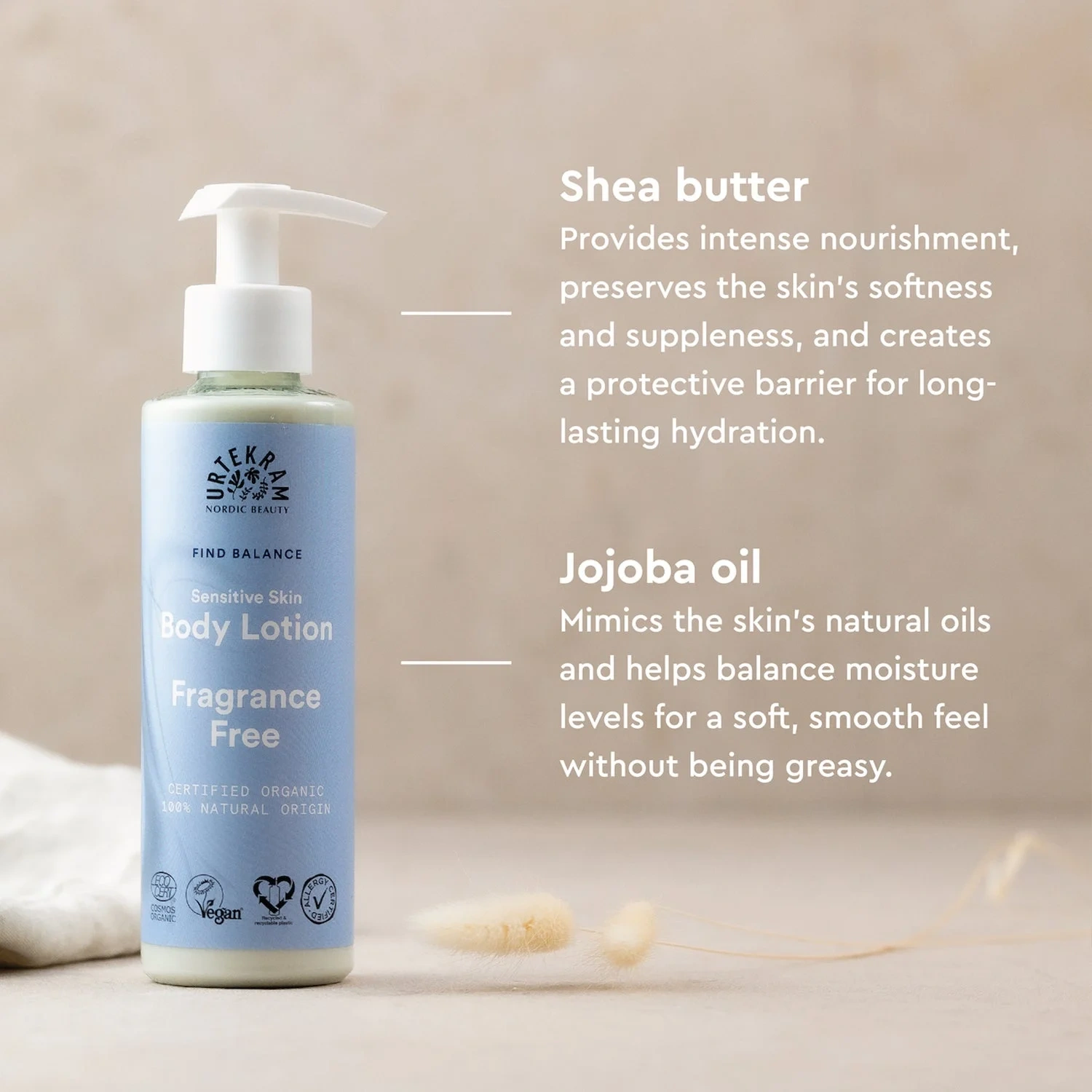 Body Lotion Fragrance Free
