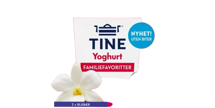 Yoghurt Familiemiks 8x125g Tine