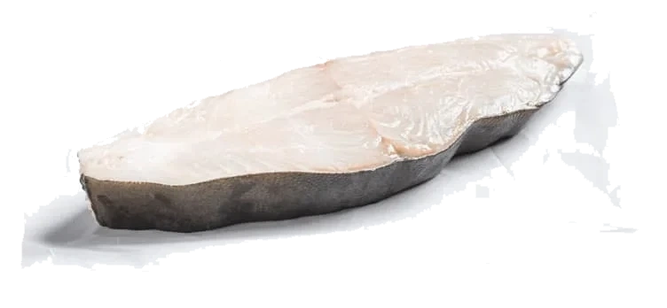 Kveite skiver Sterling Oppdrett 1-3kg