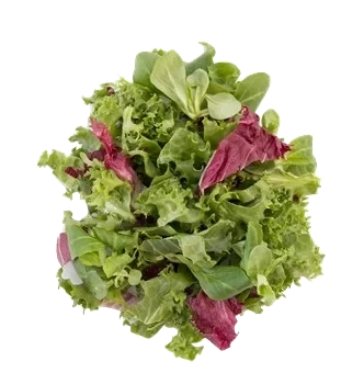Provencesallad skuren 20mm