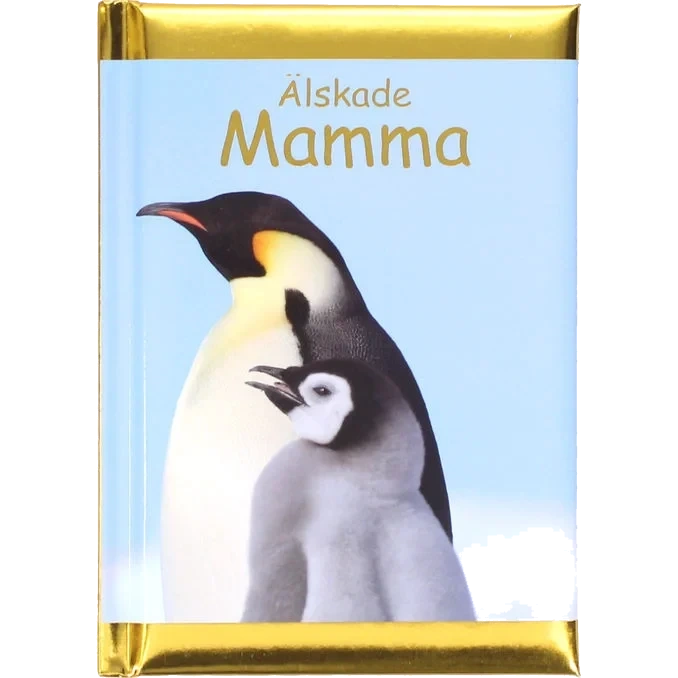 Bok: Älskade Mamma