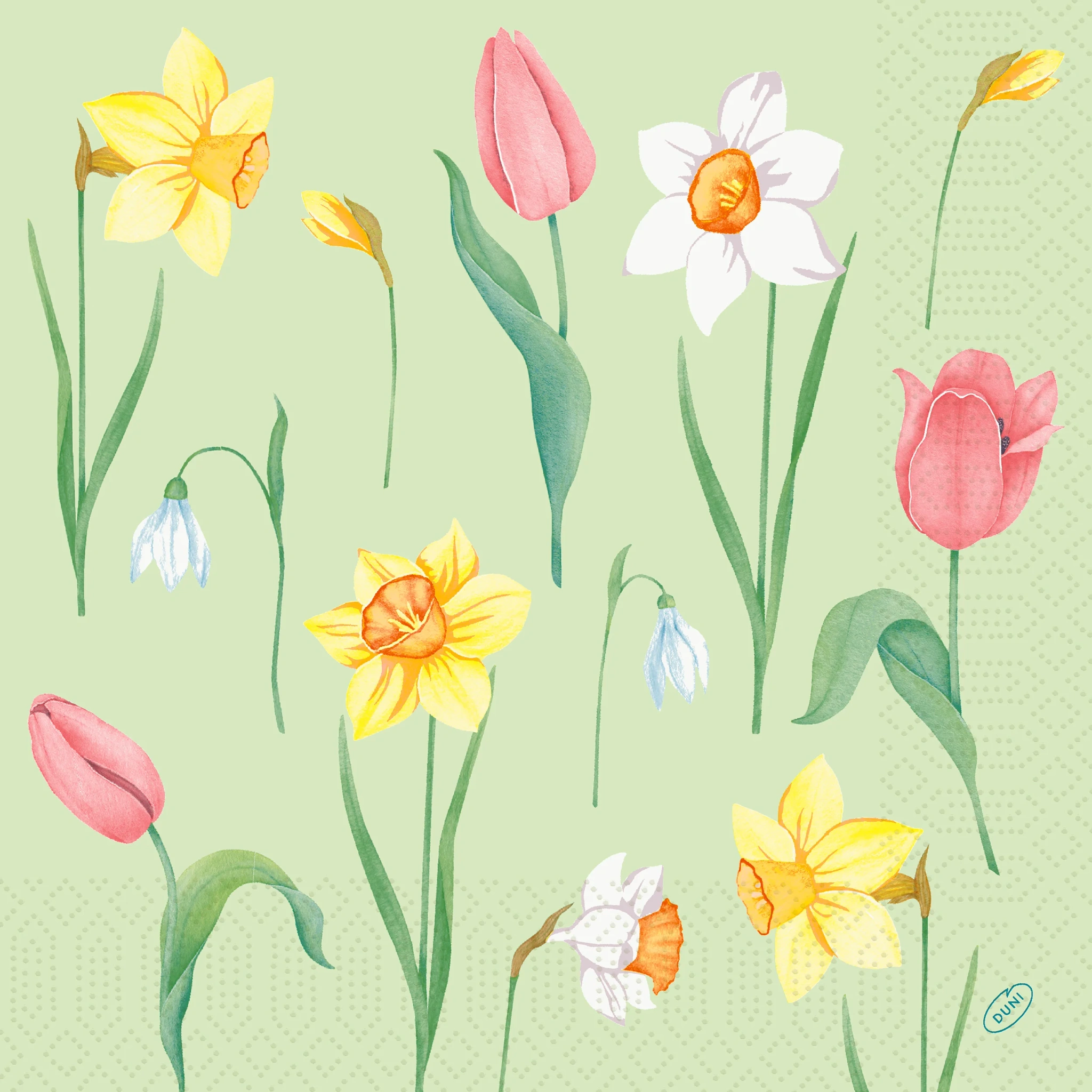 Tissueserv Spring