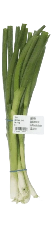 Änglamark Vårløk