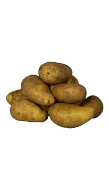 Mjölig lösvikt