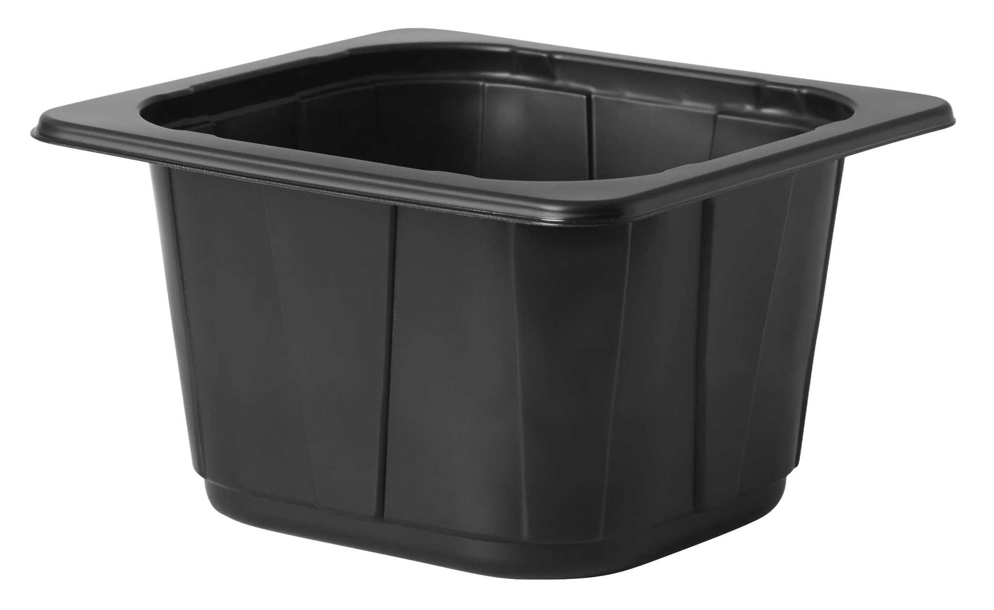 PP-Schale 1/6 GN Schwarz