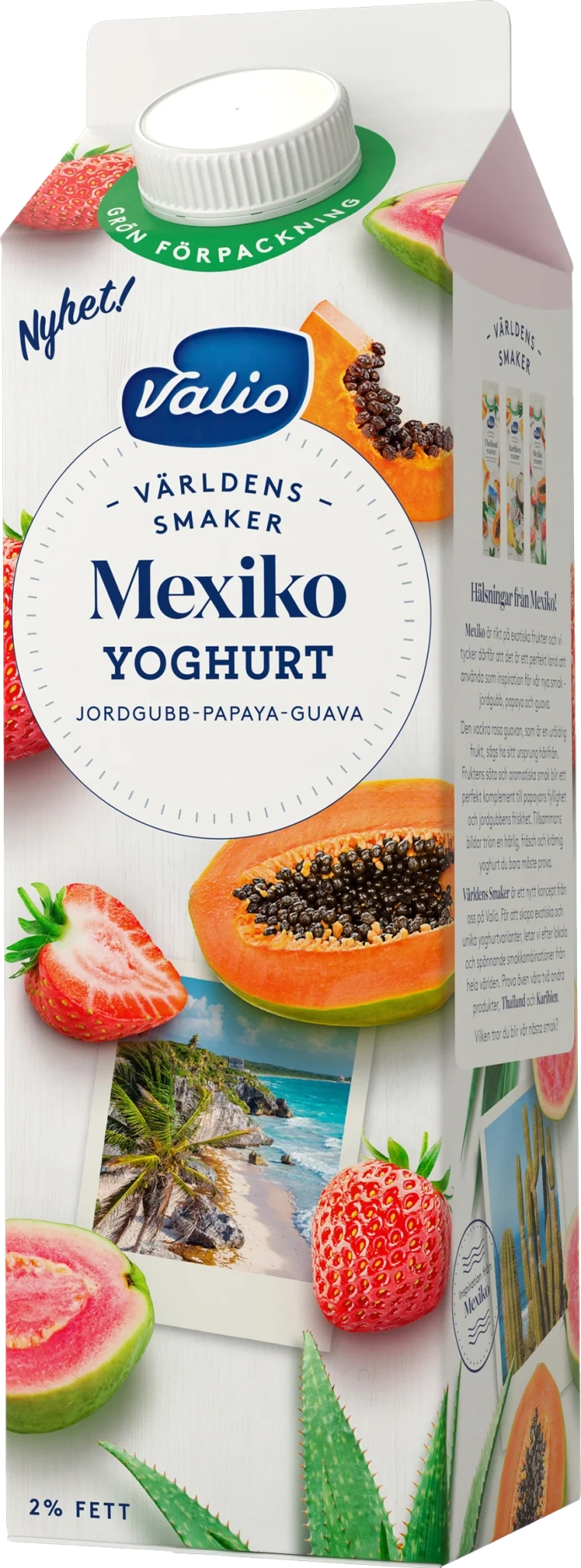 Yoghurt Mexiko